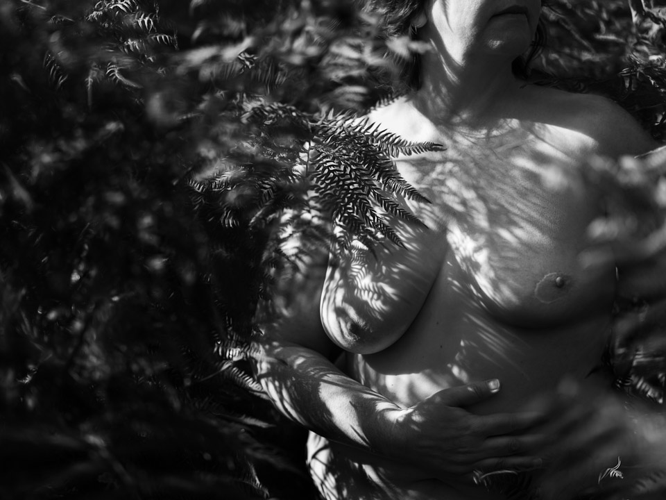 Portrait noir et blanc d'une poitrine dénudée sous les ombres des fougères
