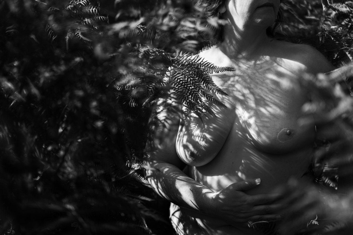 Portrait noir et blanc d'une poitrine dénudée sous les ombres des fougères